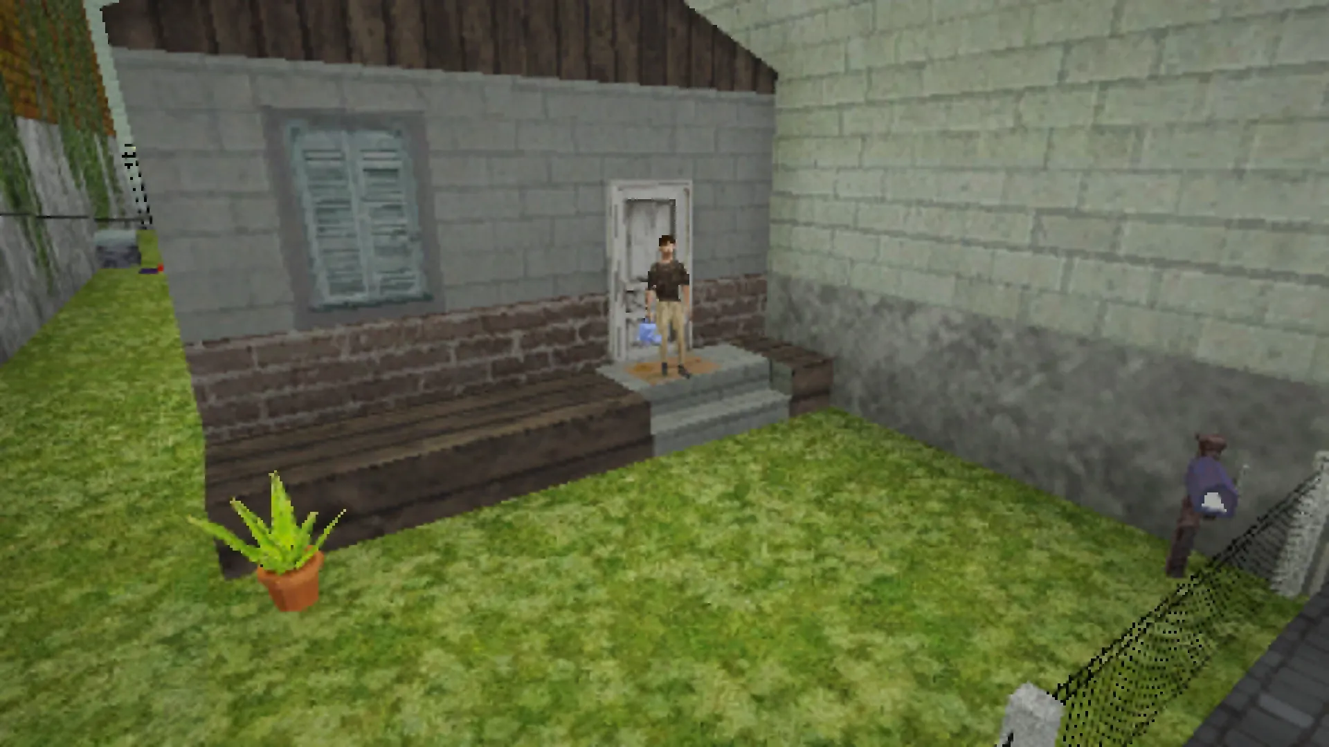 The back of the house, with its door and steps and a potted plant on the grass